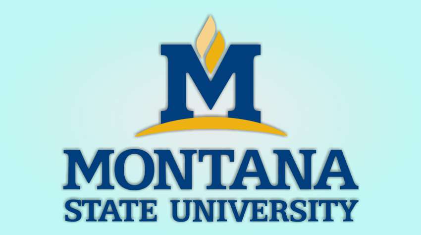 Montana State University- The knowledge review