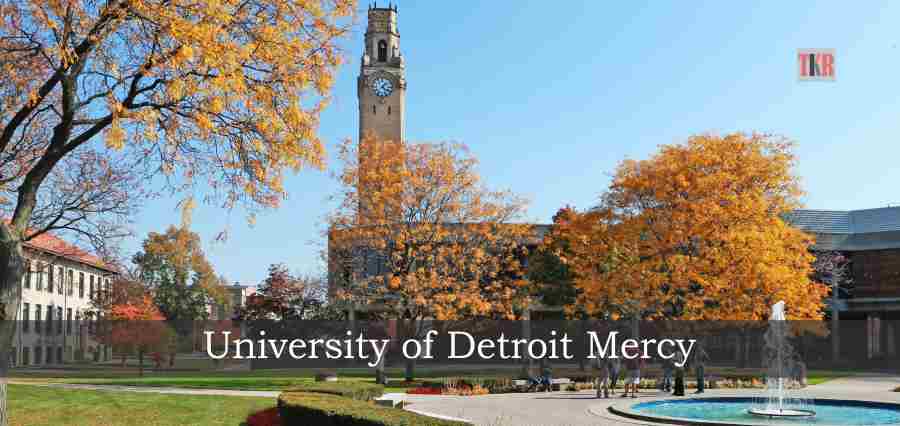 University of Detroit Mercy - The Knowledge Review
