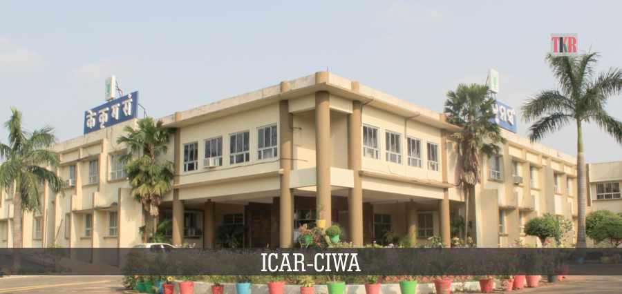 Read more about the article ICAR-CIWA: Enhancing Effectiveness of Women in Agriculture