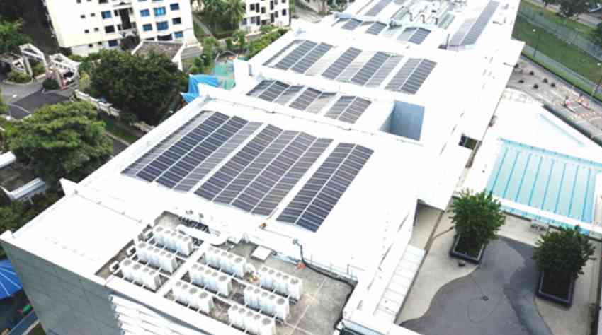 Stamford American International School | Green with Solar | Insights Success