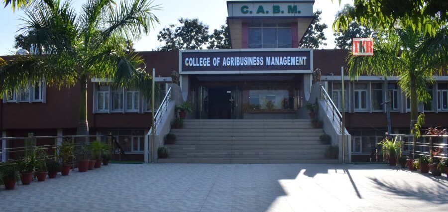College of Agribusiness Management