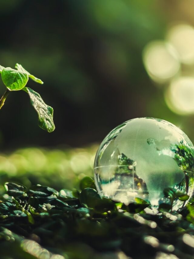 Read more about the article Word Earth Day 2024
Why Is Celebrated ?