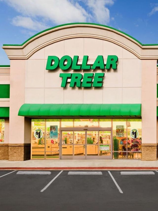 Read more about the article Discover the Dollar Tree: 8 Key Insights You Need to Know!