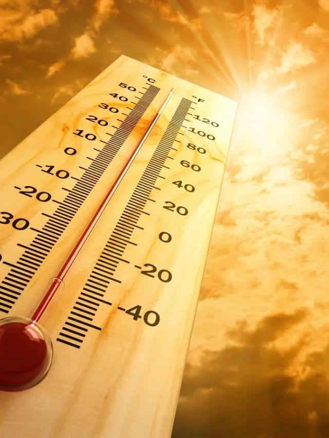 Read more about the article Extreme temperatures in California heat wave